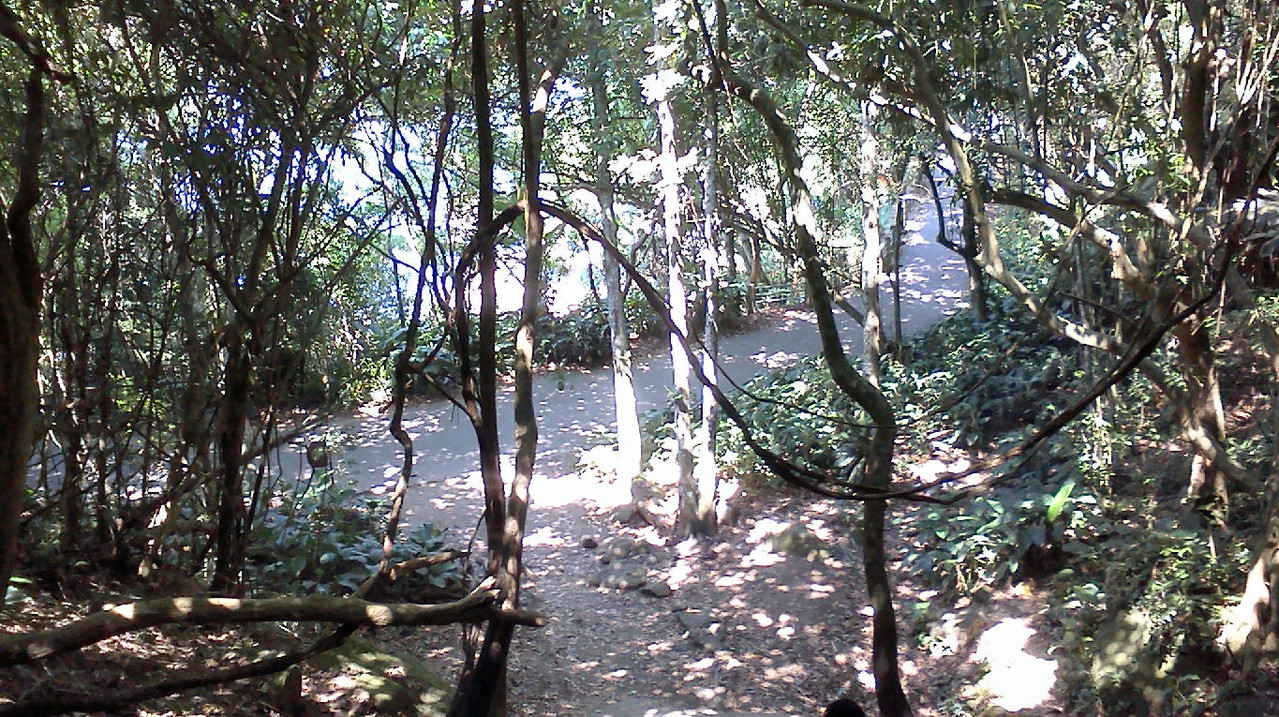 Bifurcação da trilha no topo do morro