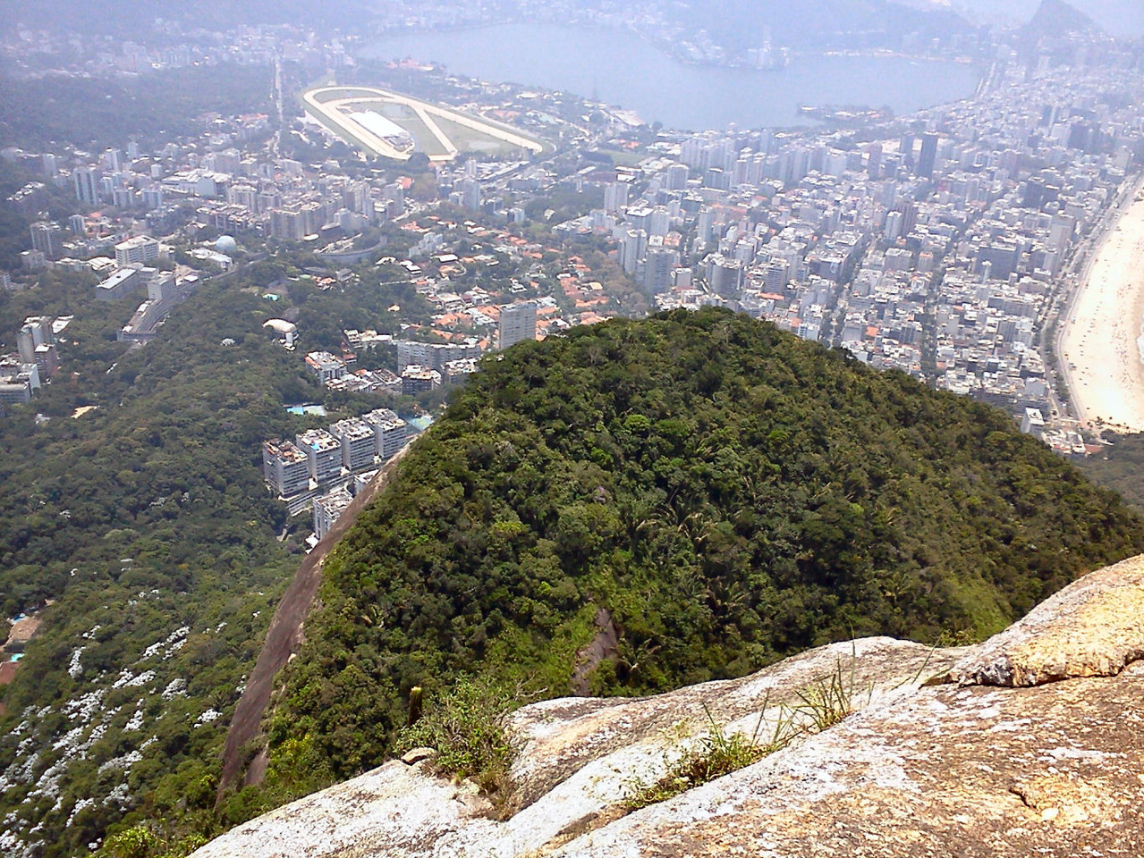 Irmão menor