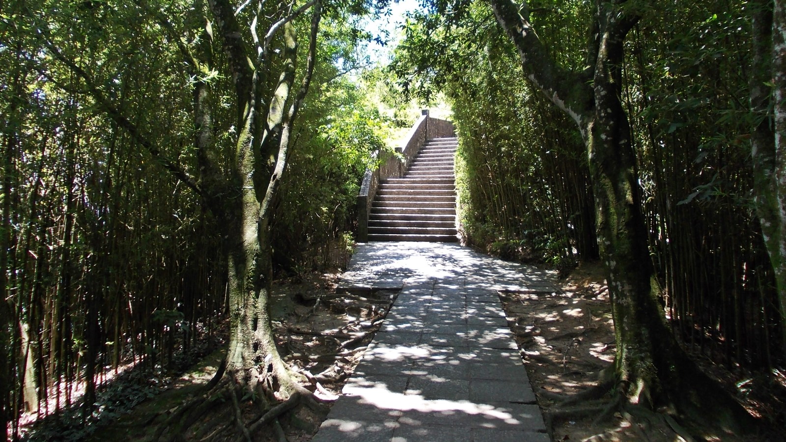 Enfim o mirante