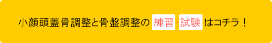 小顔頭蓋骨調整と骨盤調整の 練習・試験