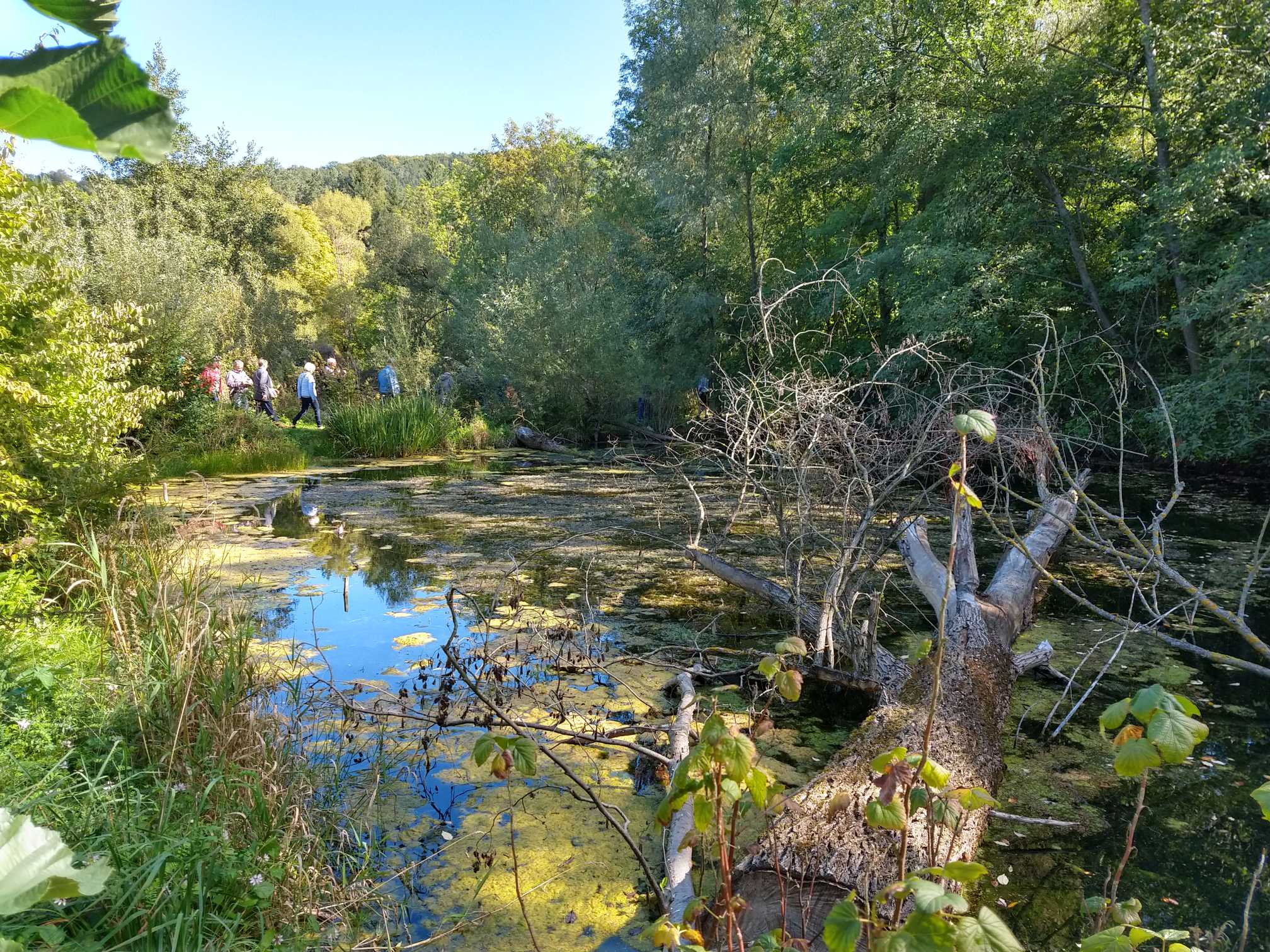 Steinschaler Naturgarten-Führung