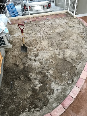 芝生を種から育ててみました アイルの庭 芝生を種から育ててみました アイルの庭