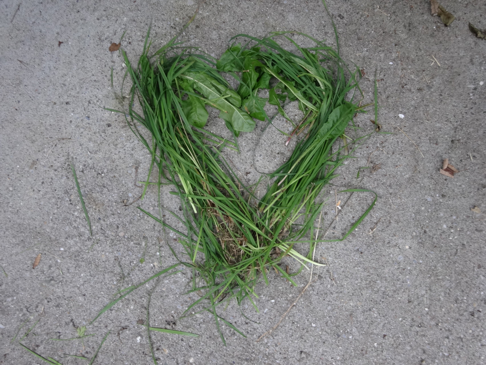 Liebe zur Natur