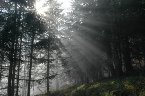 Licht Liebe Einflugelengel Aufmunternde Spruche Ich Liebe Dich Spruche Buchbestseller Romantische Spruche Fur Verliebte Trostende Spruche