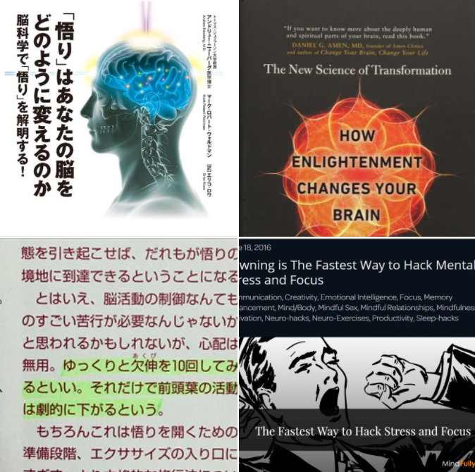 【IAM的図書館シリーズ】
