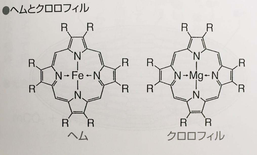 【葉緑体人間は可能か】【プレアデスの植物人間】