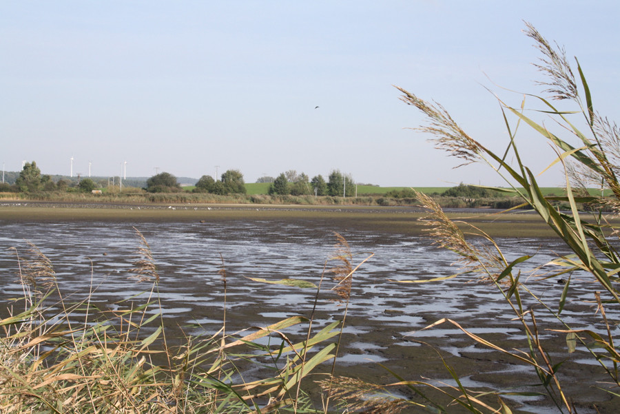 Spaziergang iden Meerbruchwiesen