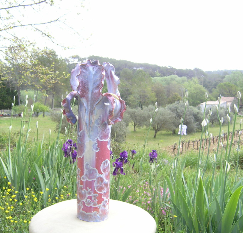 Vase Iris fuschia Site de