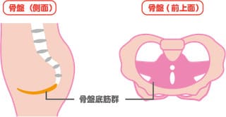 骨盤底筋ダイエットは不感症や性交痛治療