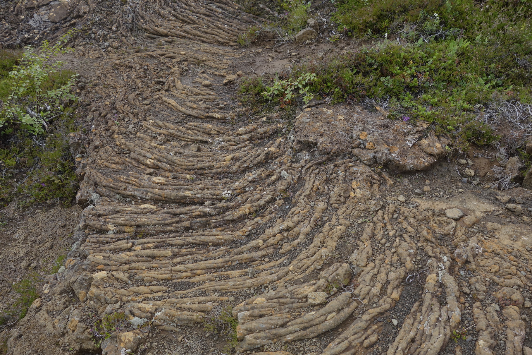 erkaltete Lava