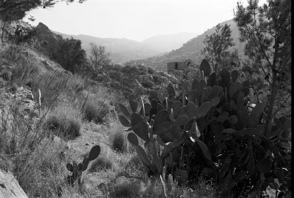 Landschaft nahe Cefalu, Sizilien