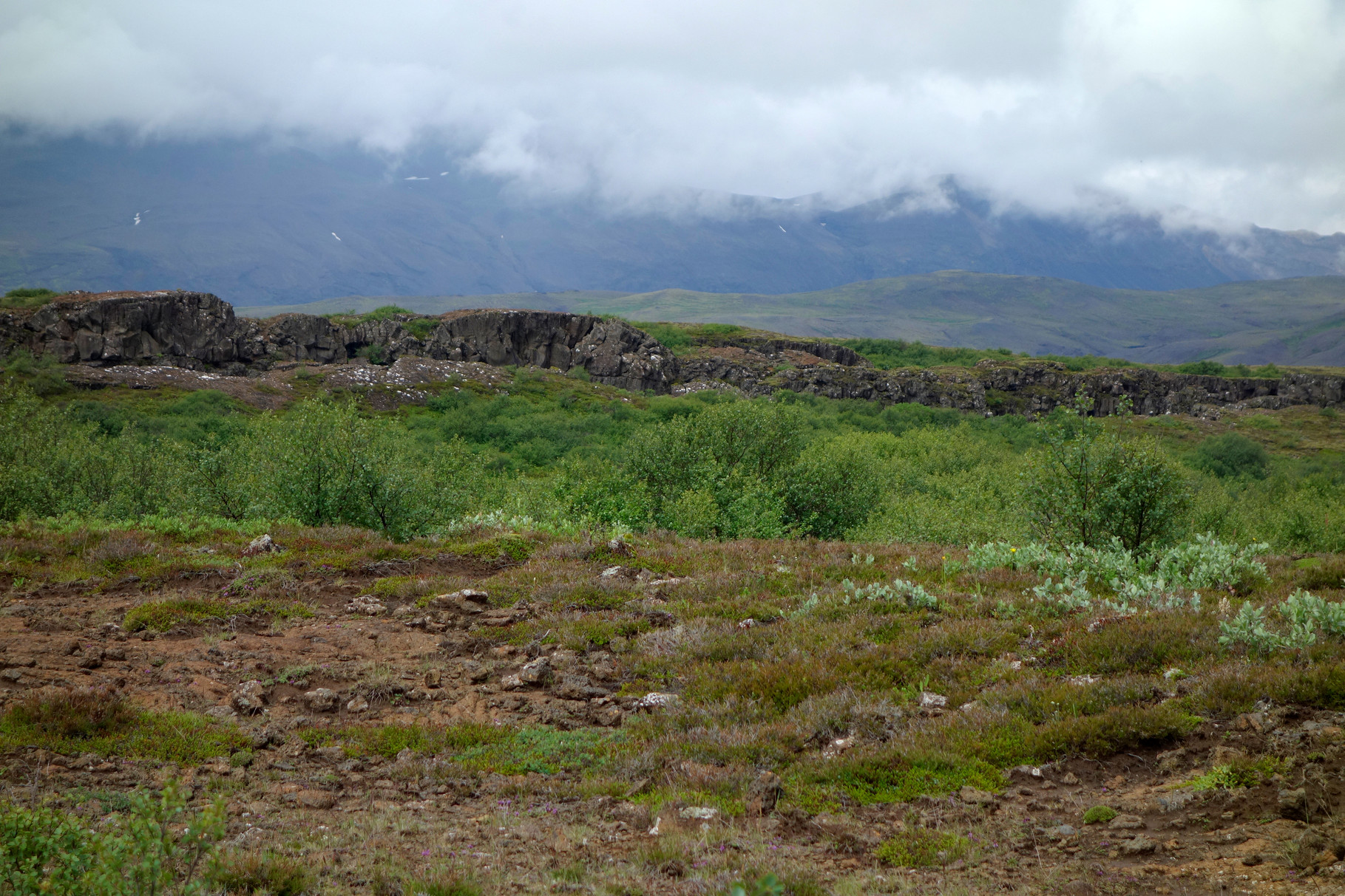 Erdspalte im Þingvellir-Nationalpark