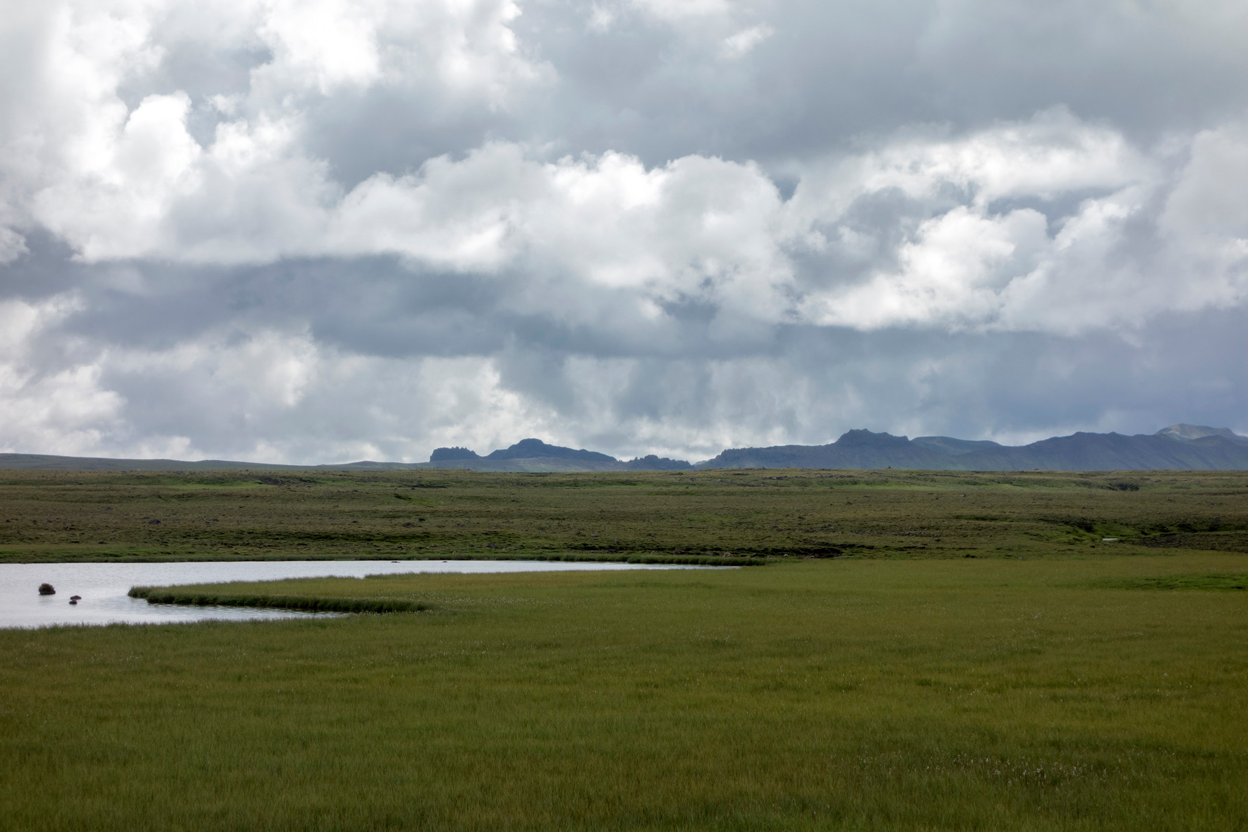 Landschaft auf der Fahrt zum Þingvellir-Nationalpark