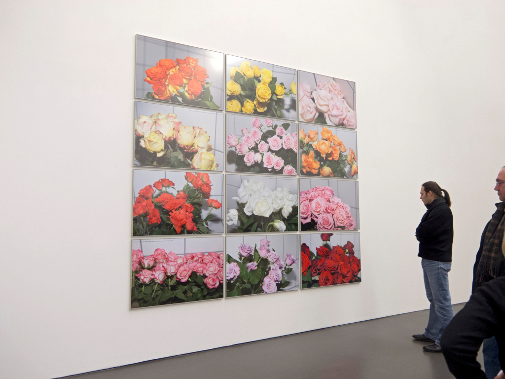 Sven Johne, Roses from Africa, 2011