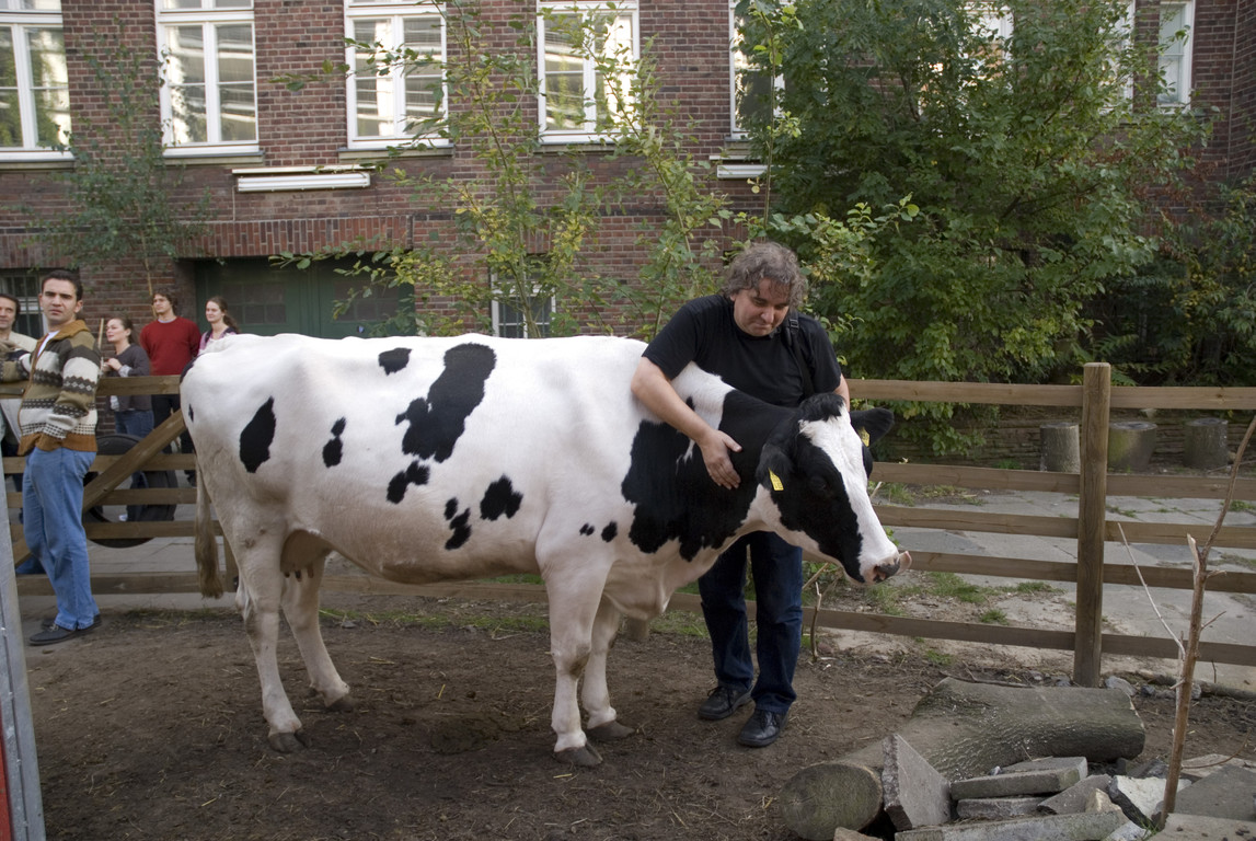 Mike Kelley - Petting Zoo (Streichelzoo)