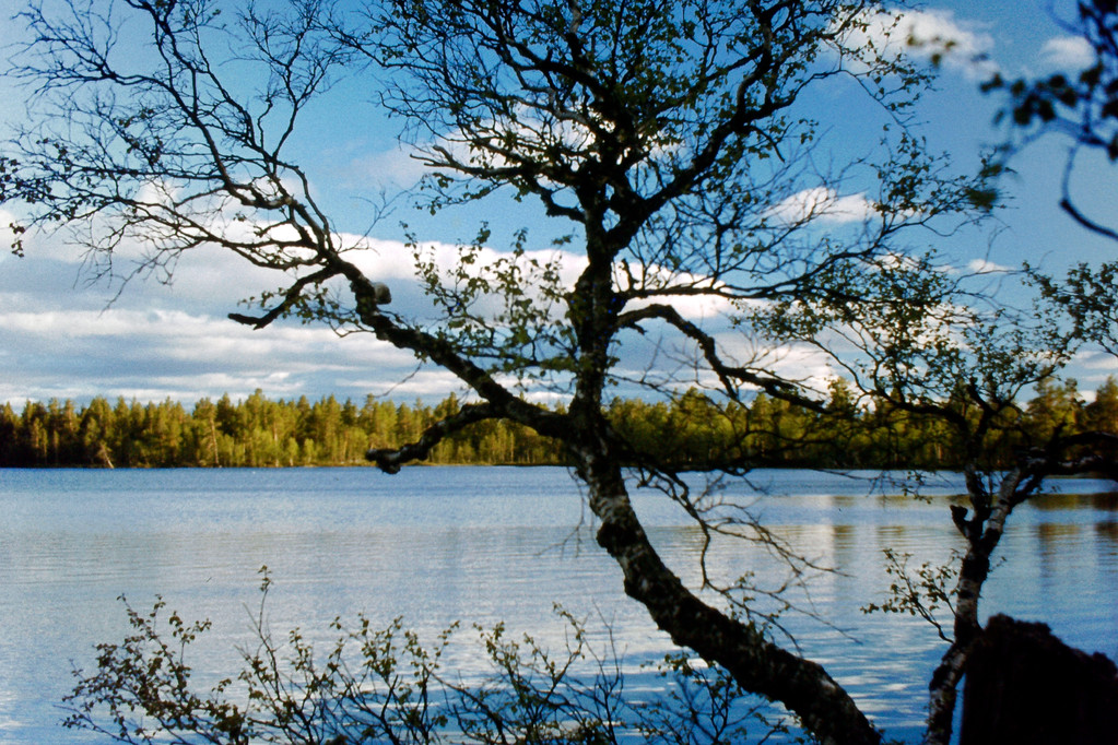 unser See direkt vor der Hütte