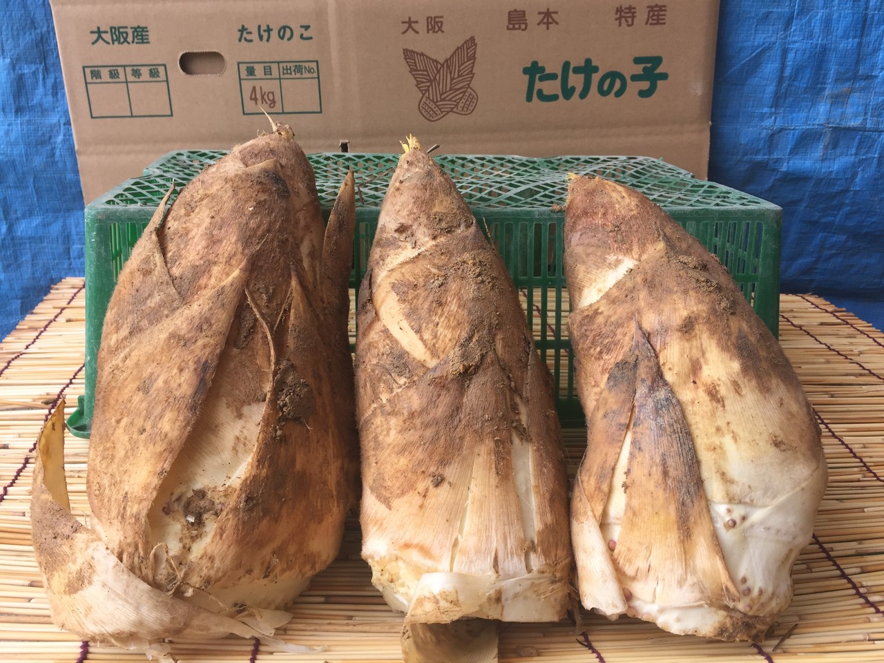 いください 虹のママりん様 朝堀り白子筍3kg WxRu5-m94605188871 京都