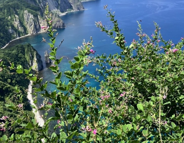 小さな山だけど足がすくむ絶景