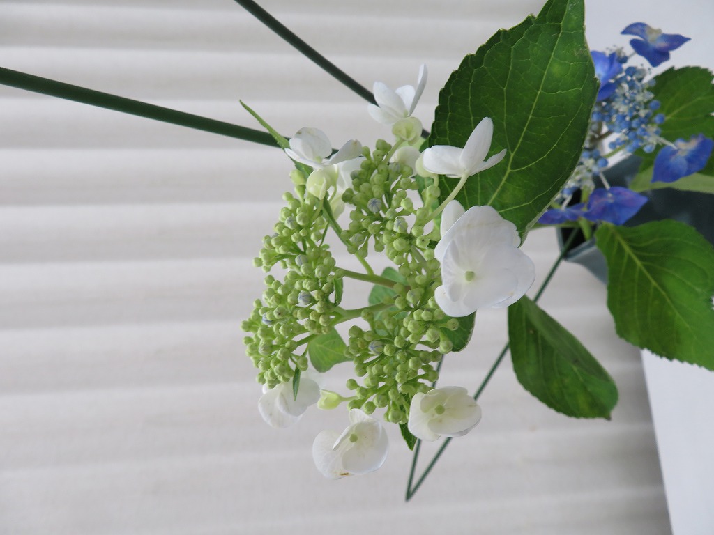 時には花の背景にある物語や古典文学を想像しながら