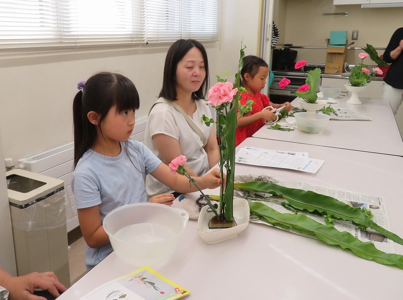 ブプレウルムって、どんな植物？