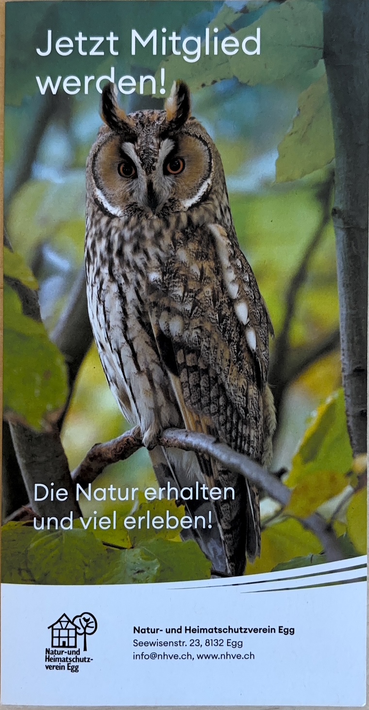 Info@nhve.ch