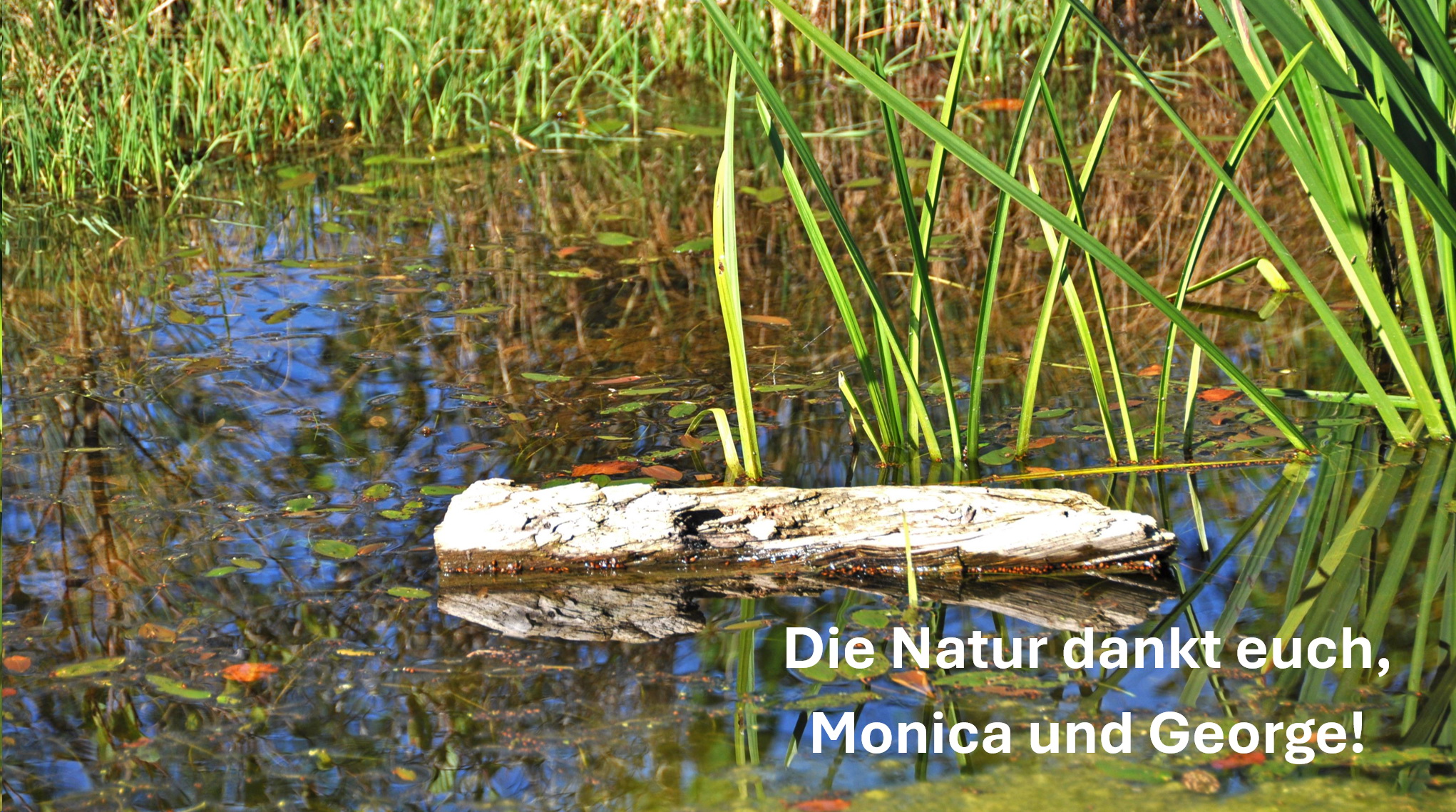 Verabschiedung von Monica und George Angehrn an der GV 2025.