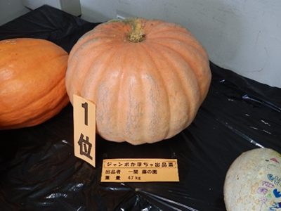 ユードーム内の農産物品評会。ジャンボカボチャコンクールの1位の作品はなんと47Kg!