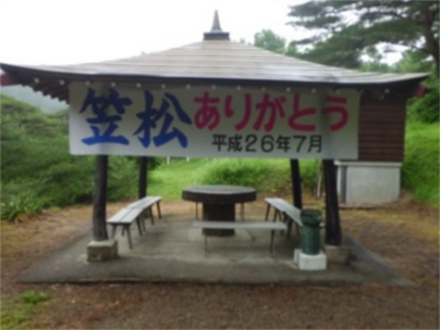 名木笠松のある笠松公園