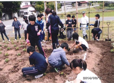 子ども会も交えての花壇の植栽作業