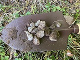 １０個以上の鉱物を採掘