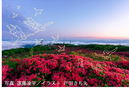 ポストカード　「室根山のツツジ」　写真 遠藤凌平／イラスト 戸田さちえ