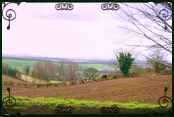 Landscape near the wood henge just west of Bow in mid Devon/ photo Julie Sampson