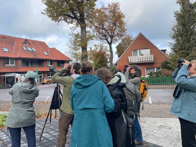 6 bis 7 Menschen stehen auf einem kleinen Platz und gucken mit Ferngläsern in den Himmel.