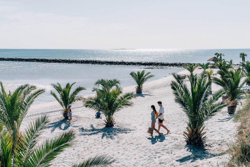 Frederikshavn in Nordjütland: Dänemarks einziger Palmenstrand öffnet zur Sommersaison 2024