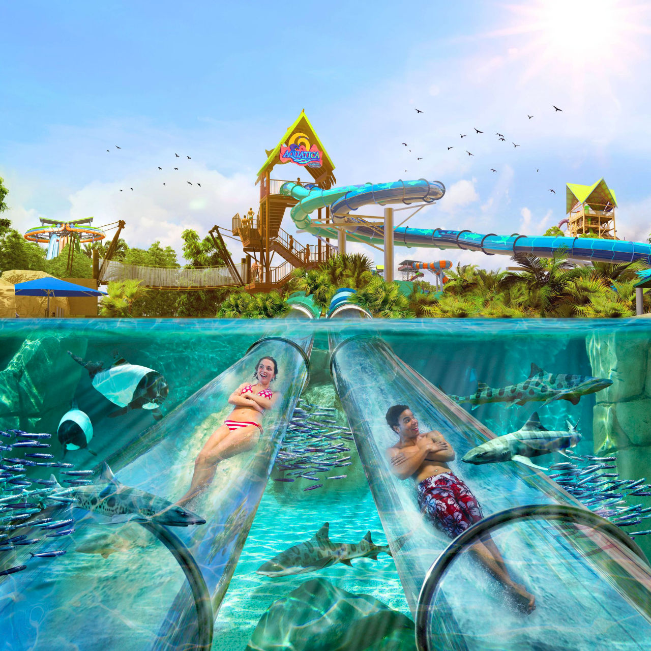 Aussichten der Superlative bei SeaWorld Parks & Entertainment