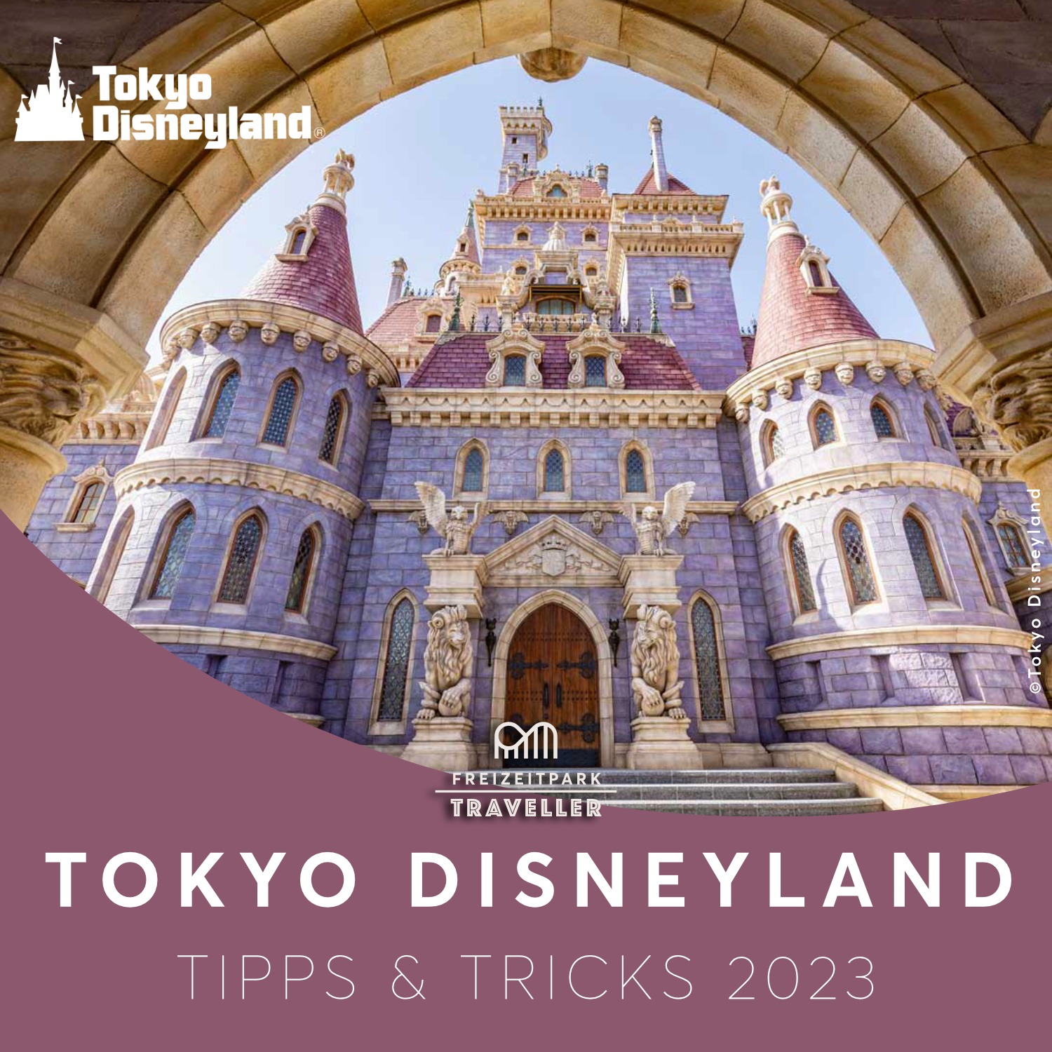 Tokyo Disneyland Tipps & Tricks