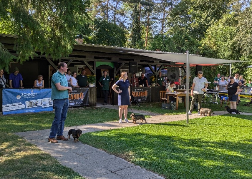 Präsentation im Ring