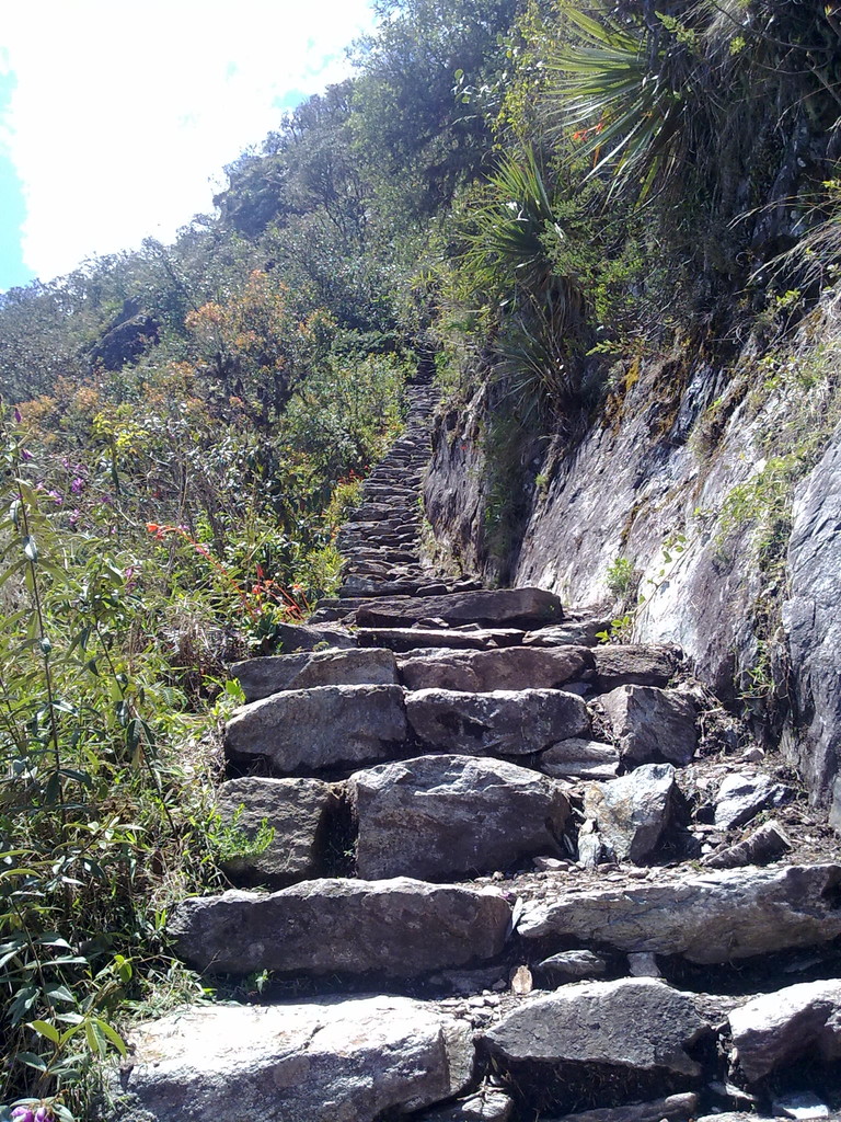 subiendo al cerro Machu Picchu 