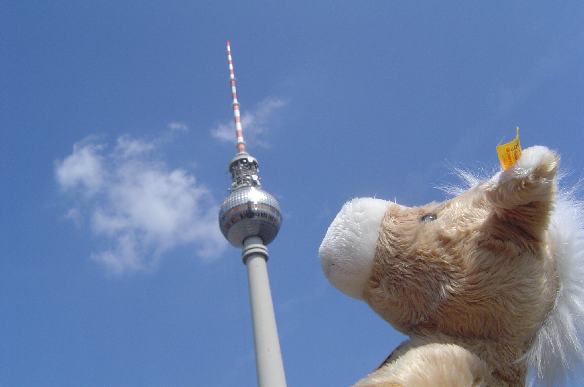 (c) Teddy-tour-berlin.de