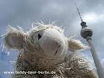 Teddy Tour Berlin - Urlaub für Kuscheltiere - The first travel agency for cuddly toys
