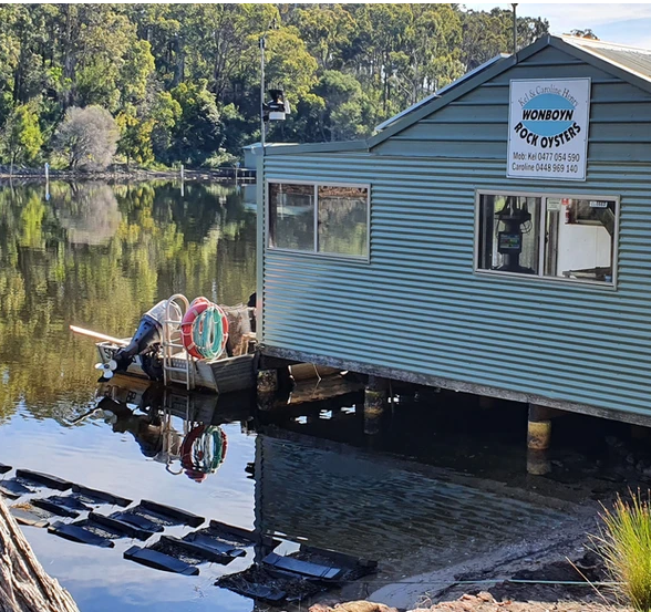 Wonboyn Oysters Wonboyn Cabins & Caravan Park