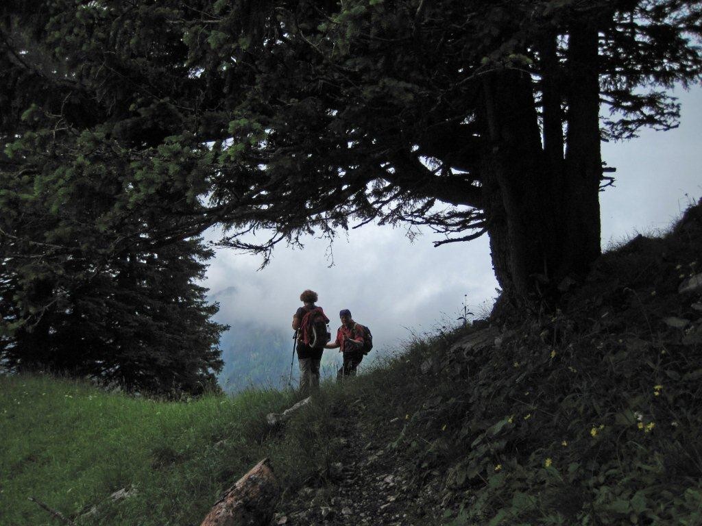 Wanderung bei Schloß Linderhof - Ammergauer Alpen