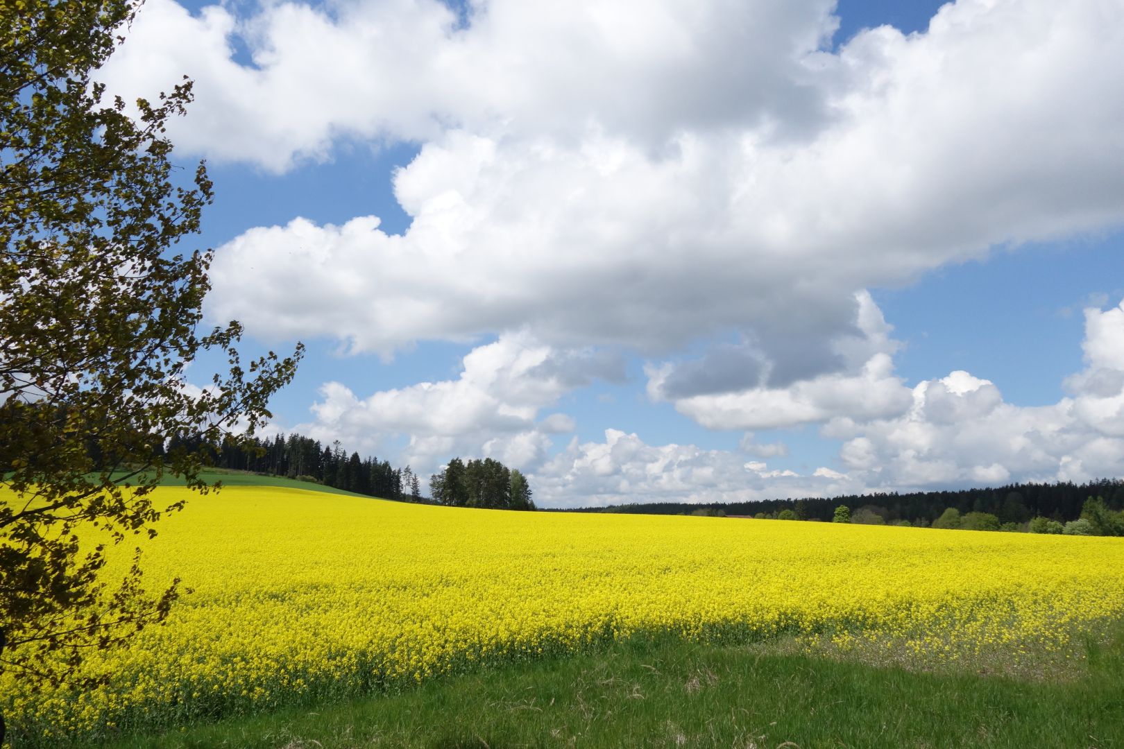 mit kräftige Farben im Mai