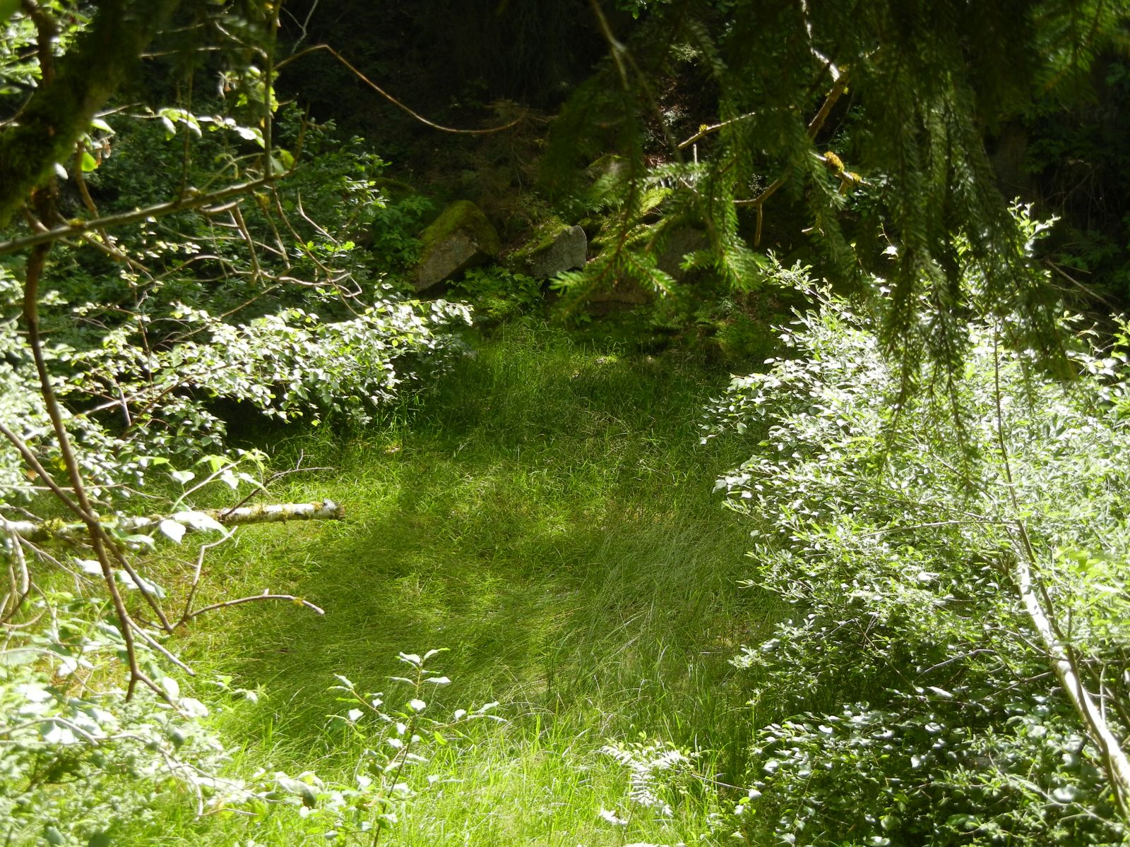 Zeugnisse des Granitabbaus im Vogtland