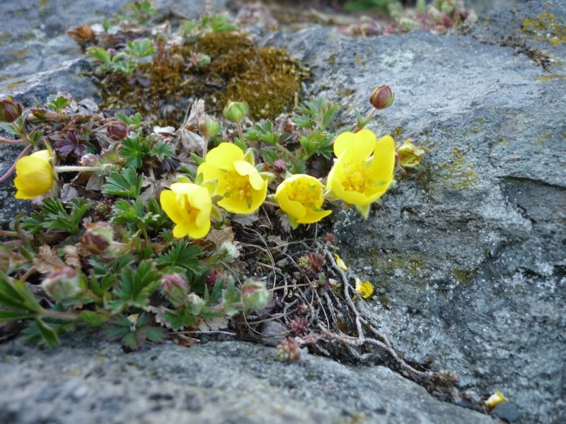 Sonntagsklettern im Steinicht am Uhustein