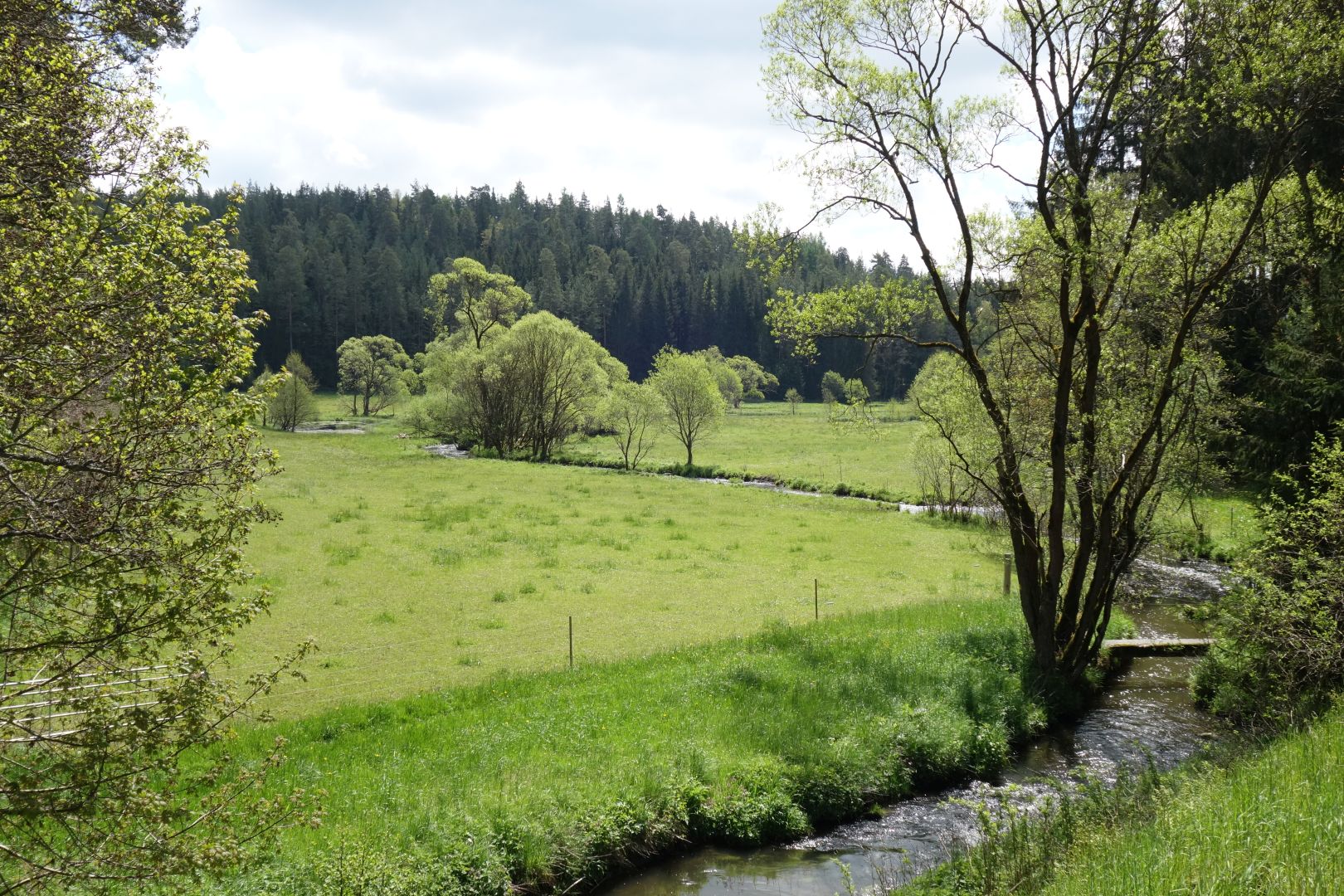 was für Auge und Seele