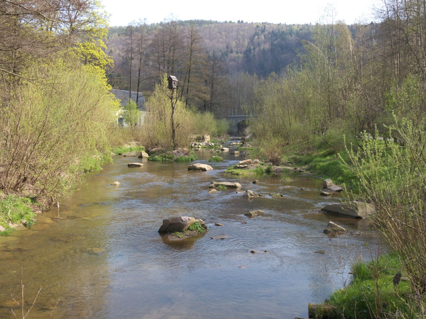 im Schwarzwassertal