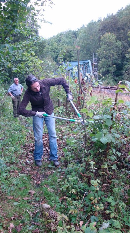 DAV Arbeitseinsatz im Klettergebiet Steinicht, 07.09.2011