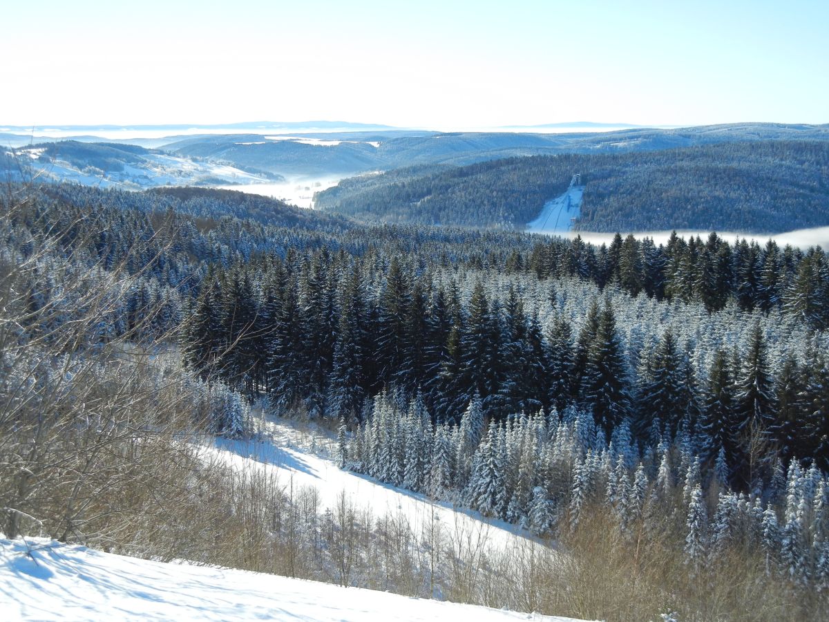 Blick von der Schneckensteinhalde