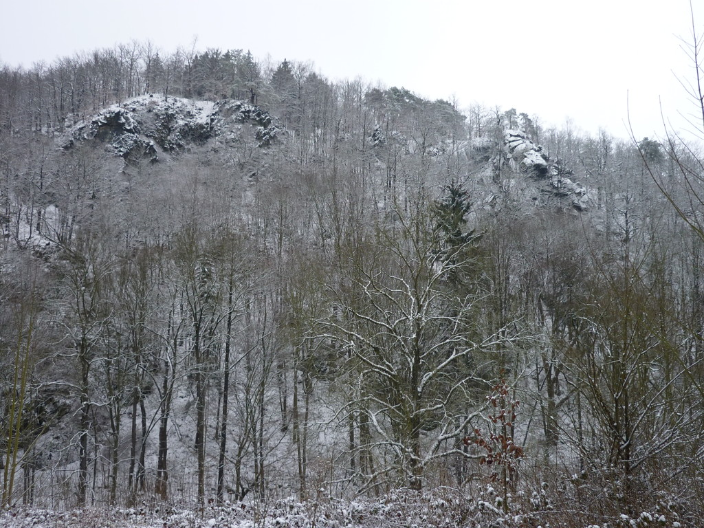 Das Steinicht liegt in der Winterstarre